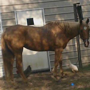 Meet your Posher, Evan